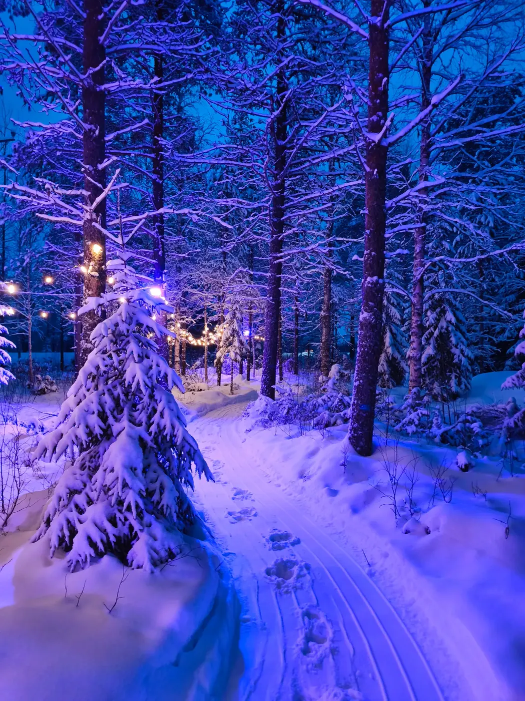 Illuminated magic path in the Lapland forest at Santa Forest