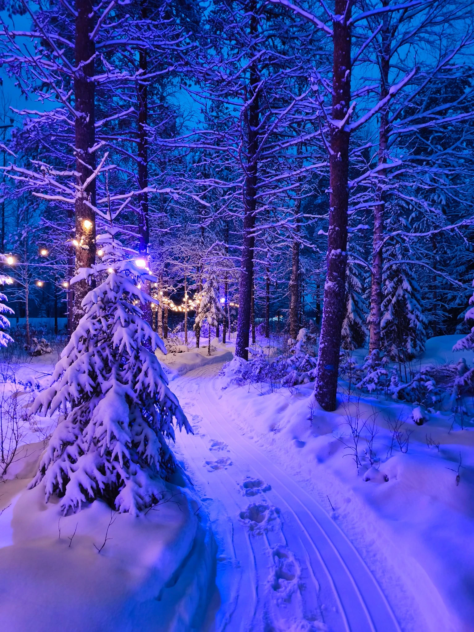 Electric mini snowmobile ride in the snowy Santa Forest woods